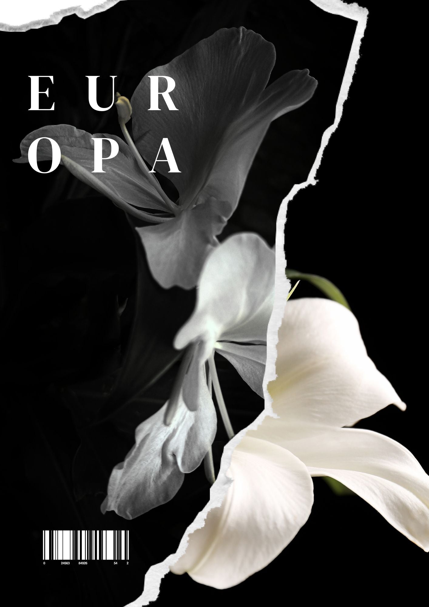 Europa Collection