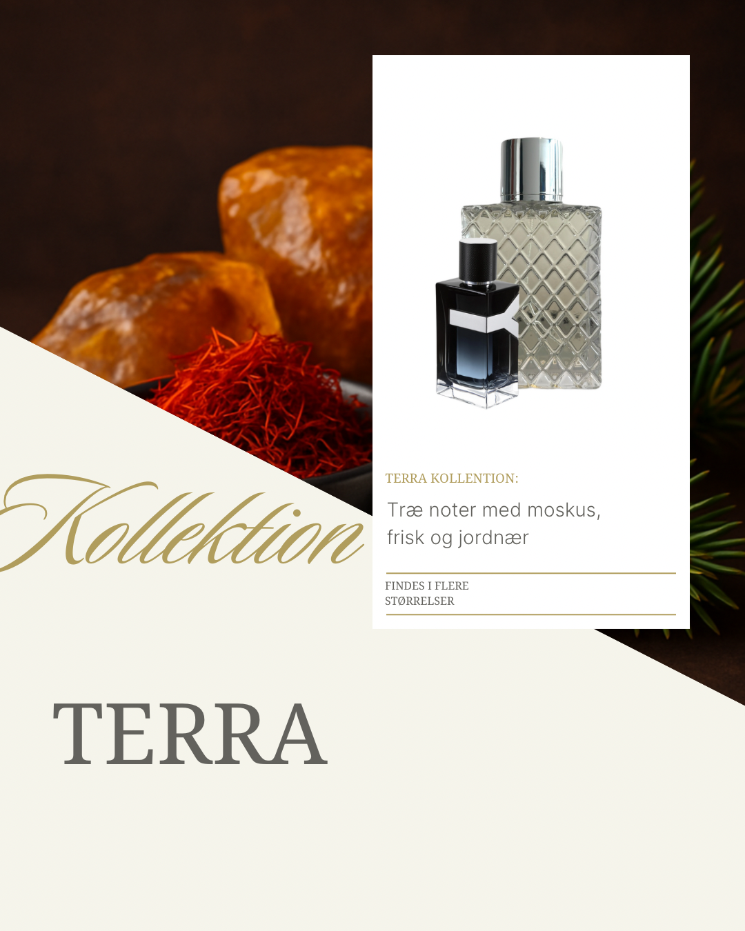 Terra