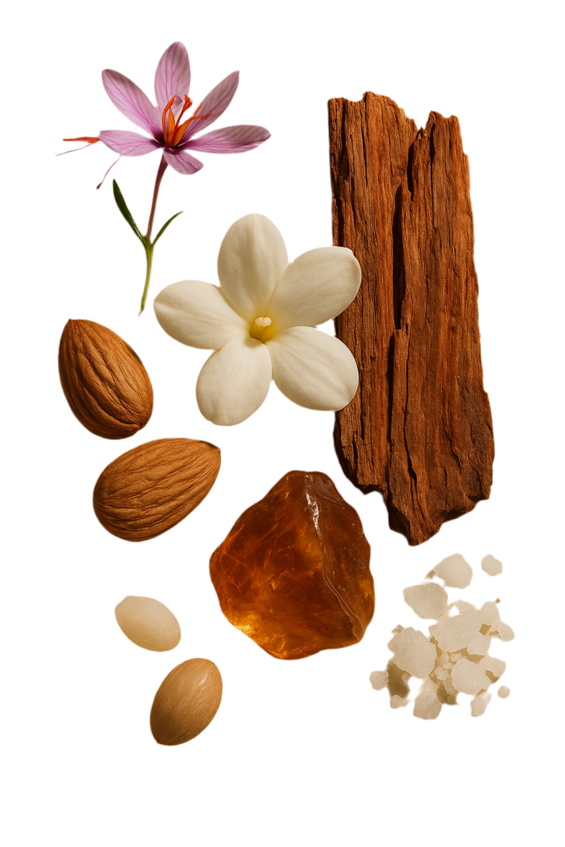 Rouzia